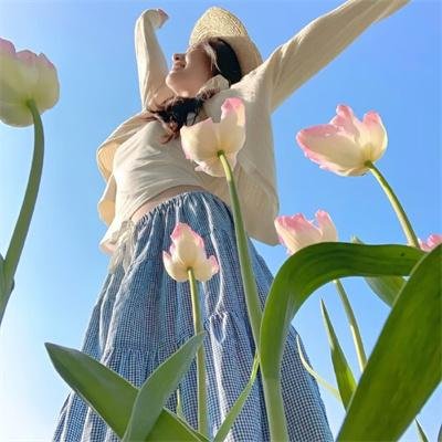 天蝎星升起 海报