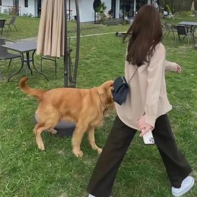 三个少年第二季 海报